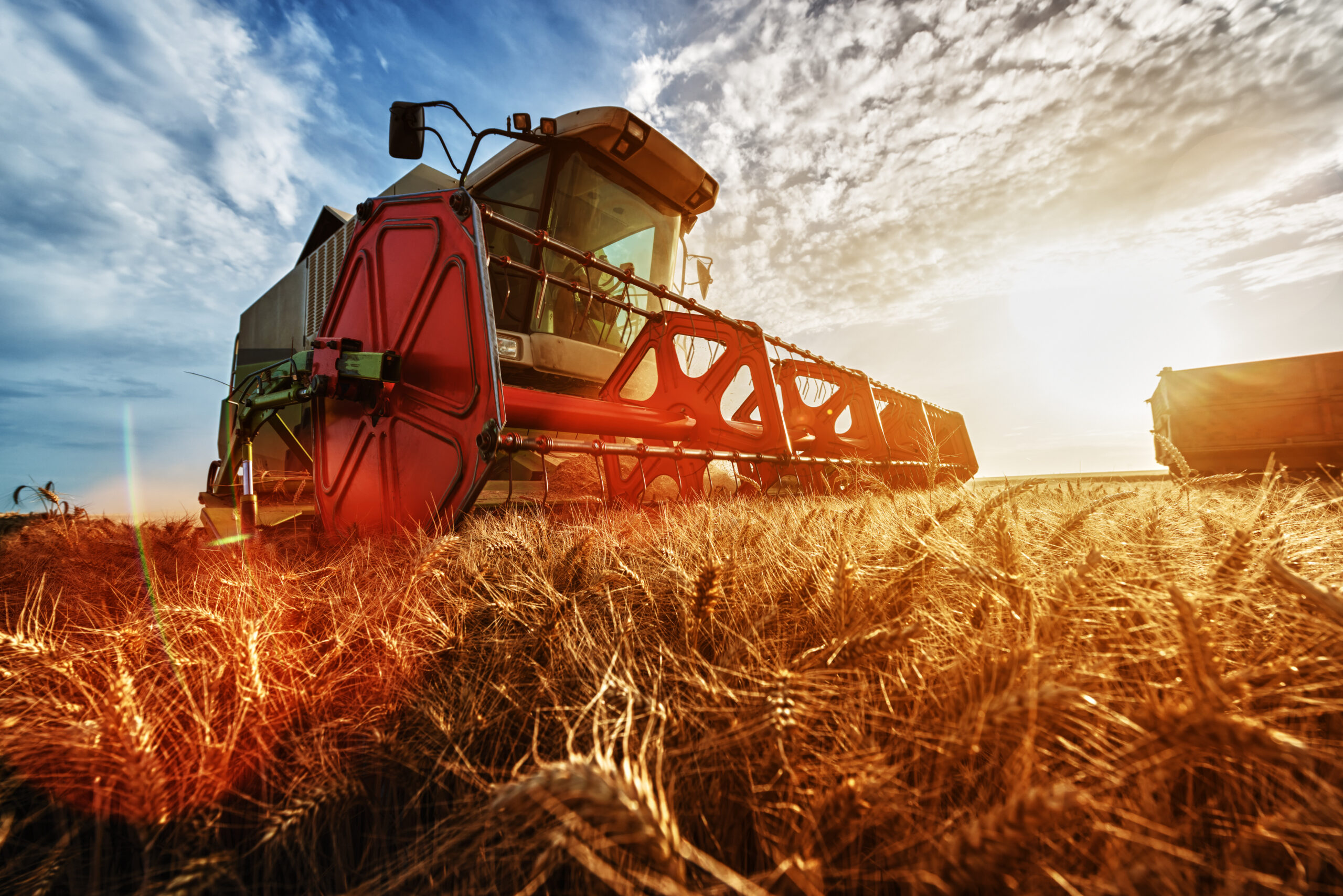 Agrartechnik studieren Mähdrescher bei der Ernte