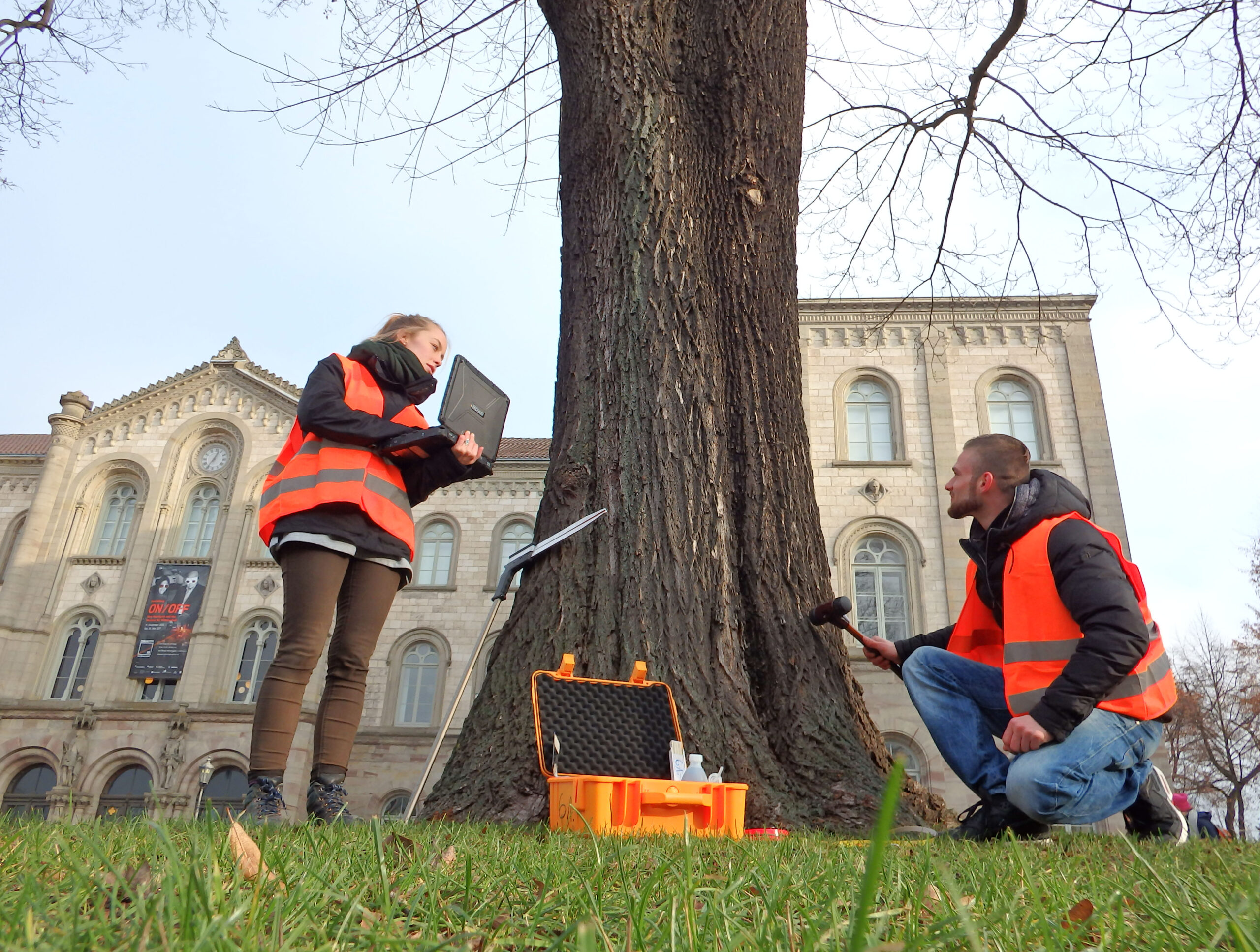 Studiengang Arboristik Übung