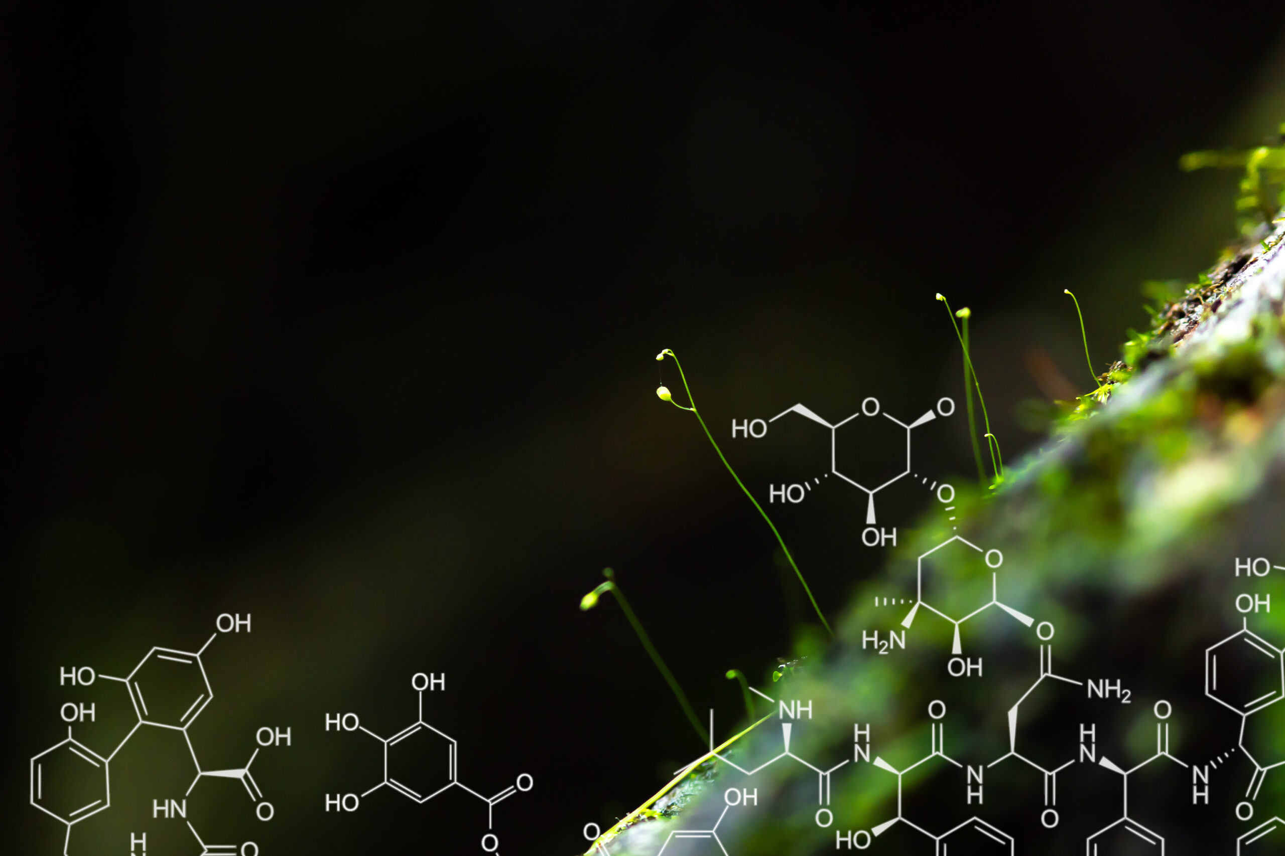 agrajo biochemie studentin chemische strukturen