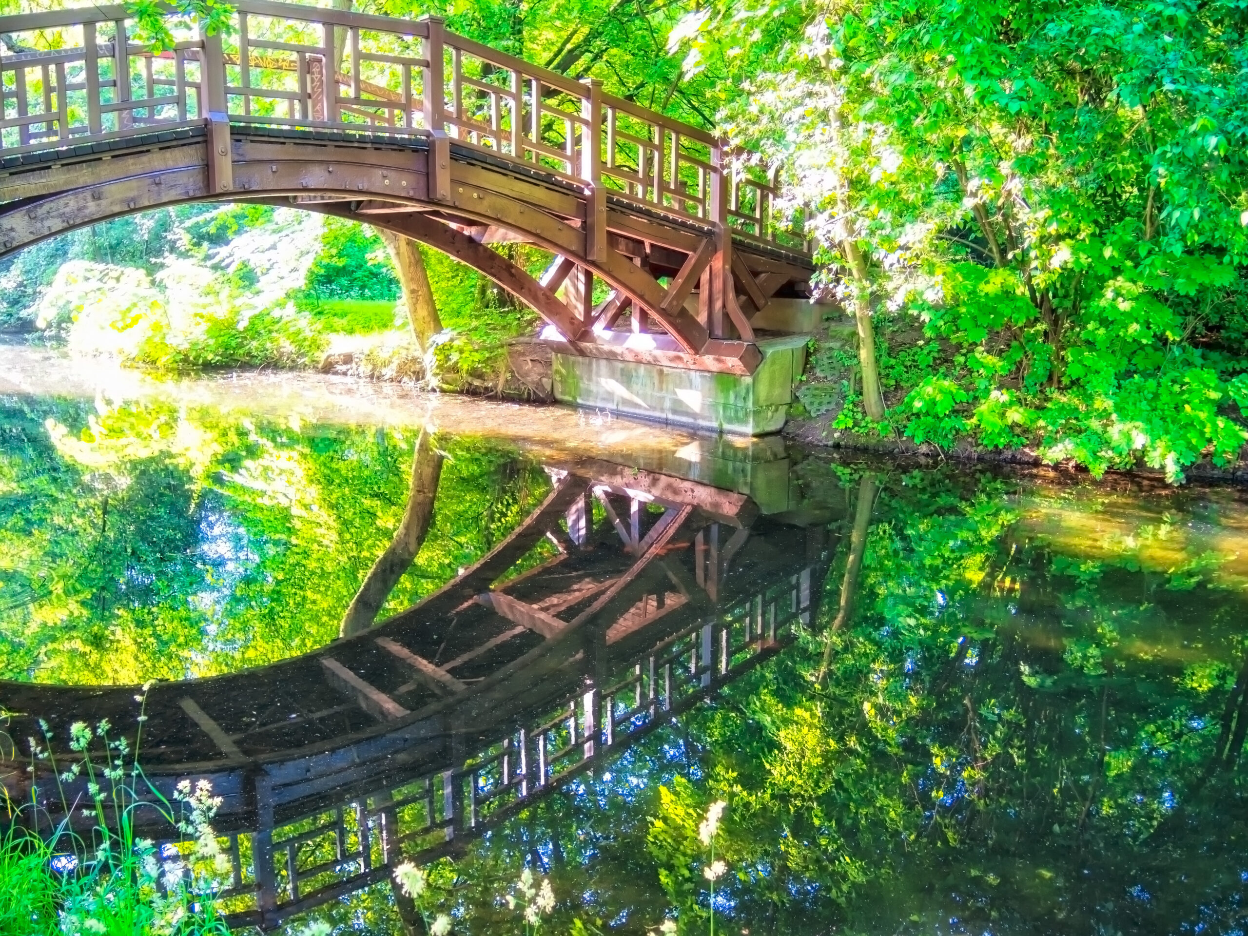 Holzbrücke im Grünen