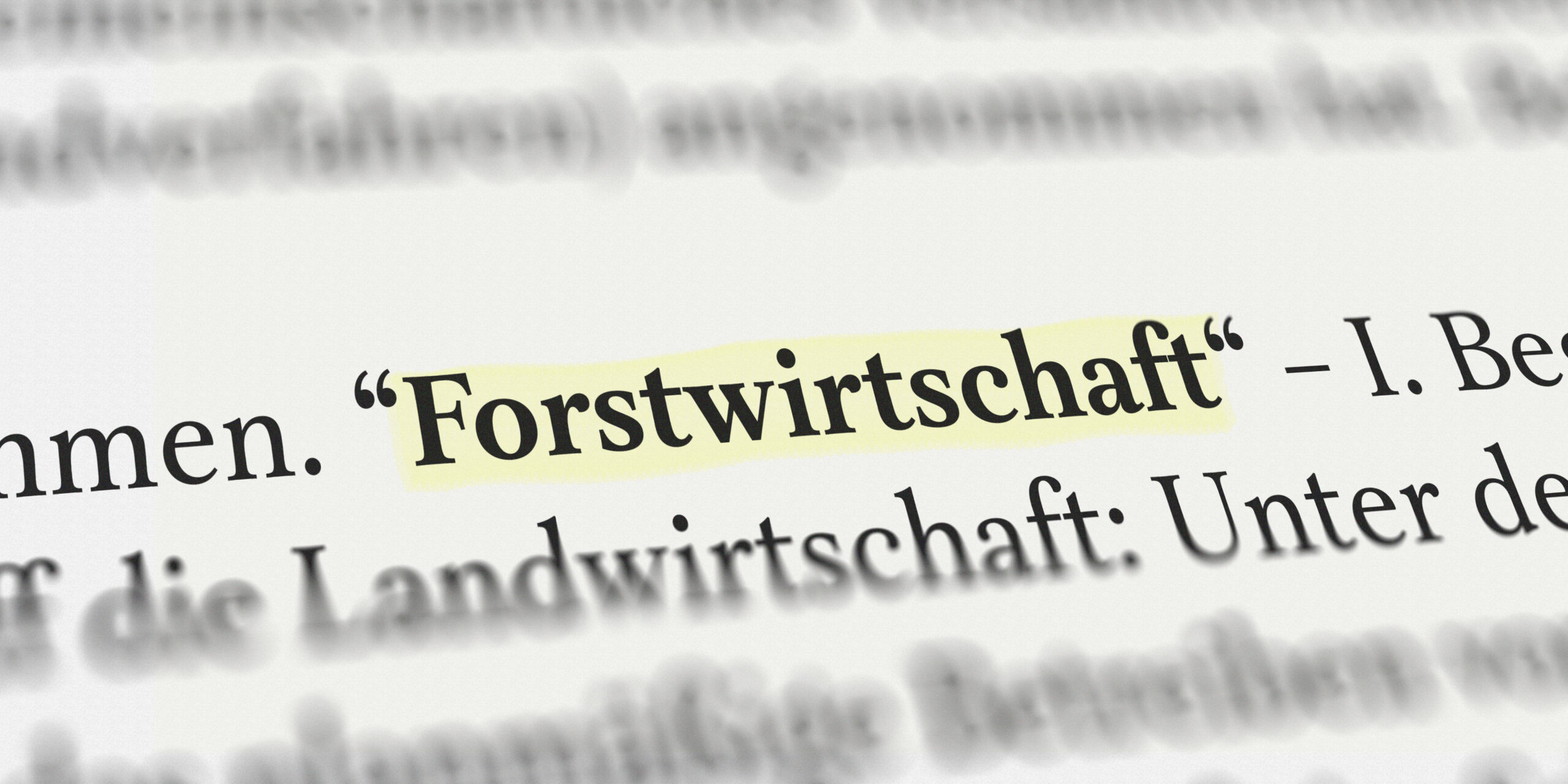 Zeitungsartikelausschnitt bei dem das Wort "Forstwirtschaft" schattiert hervorgehoben wird