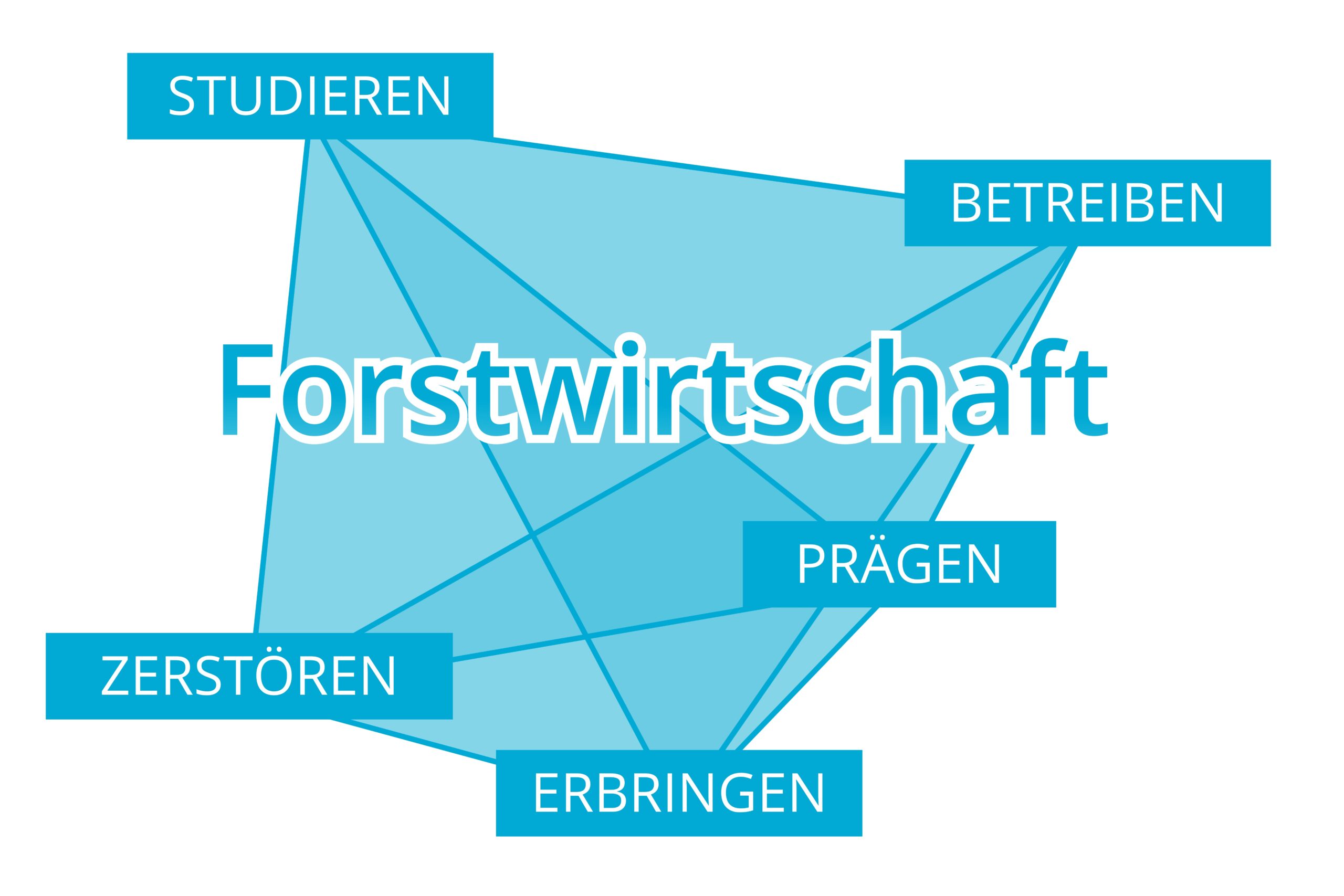 Der Begriff Forstwirtschaft vernetzt mit Studieren, Betreiben, Prägen, Erbringen, Zerstören