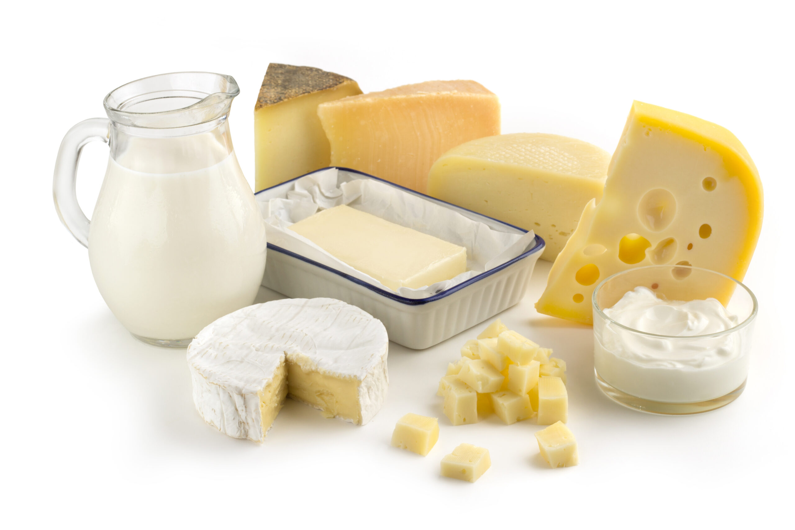 Milch und verschiedene Käseerzeugnisse von Butter über Weichkäse zu Hartkäse