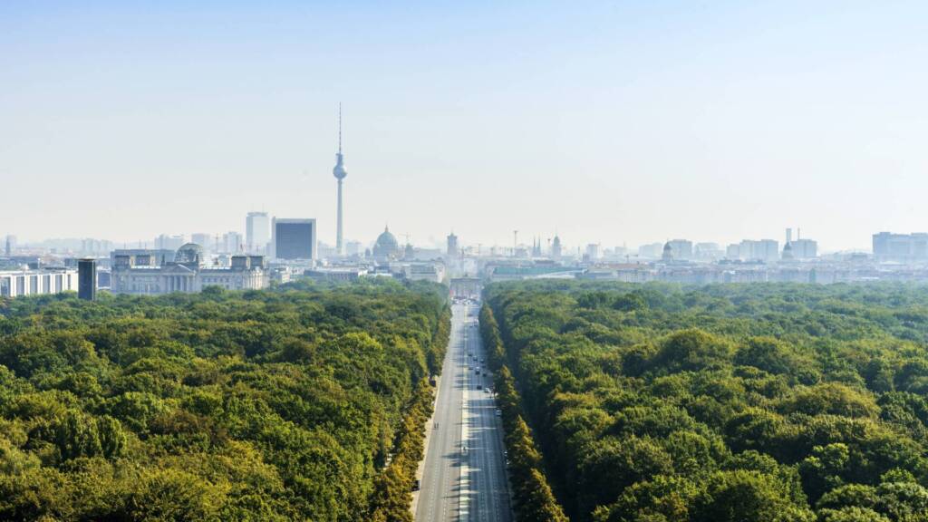 Bäume in einer großen Stadt wie Berlin - Tiergarten