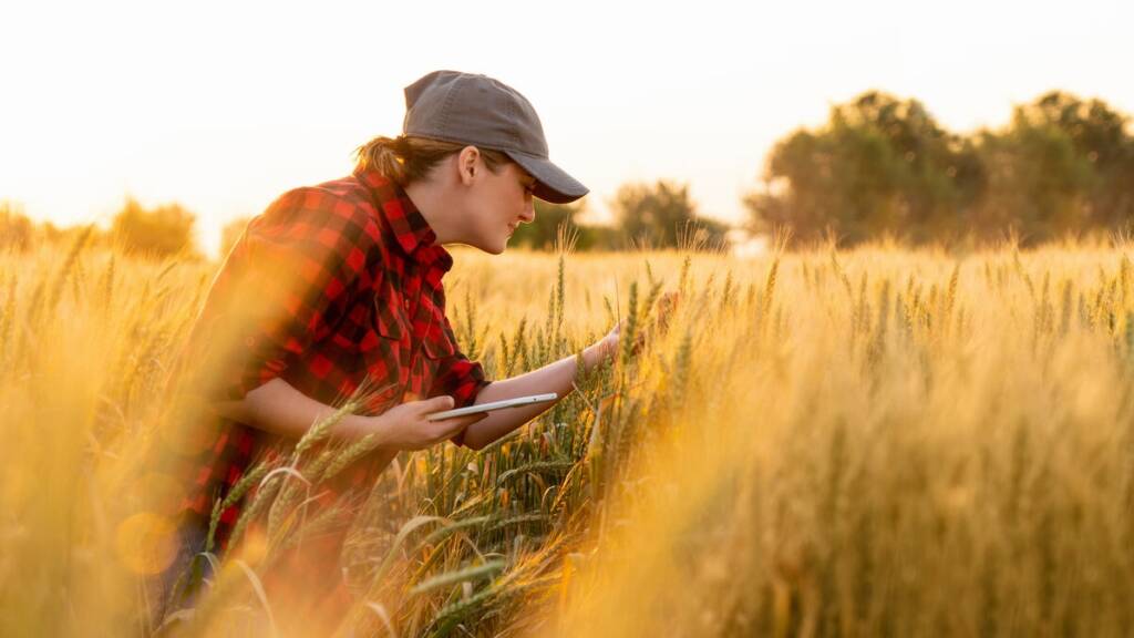 Hofübergabe in der Landwirtschaft - erfahre mehr auf agrajo.com