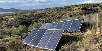 Erneuerbare Energien für den Olivenanbau