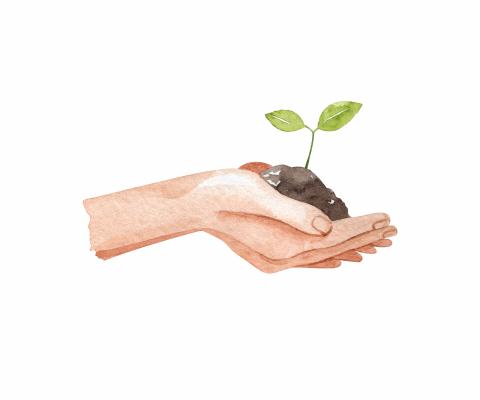 Hand mit Pflanze