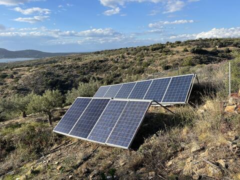 Erneuerbare Energien für den Olivenanbau