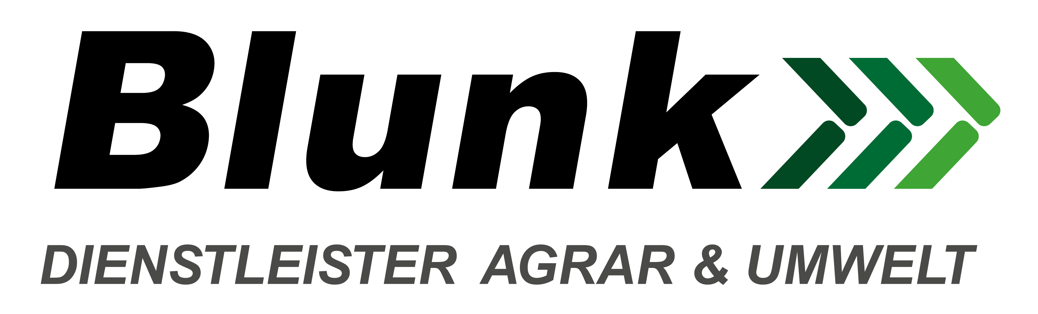 Firmenlogo: Blunk GmbH
