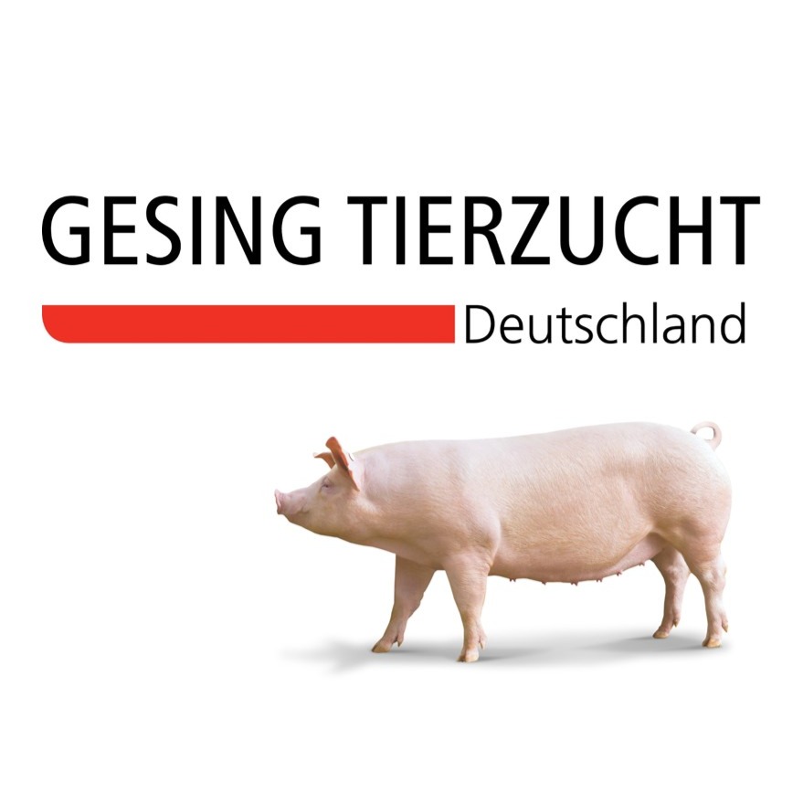 Firmenlogo: Gesing Tierzucht GmbH